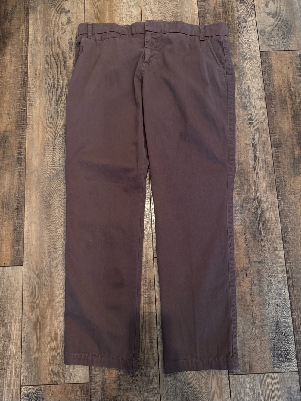 Sanctuary Clothing Los Angeles Brown Chino Pants Size 32